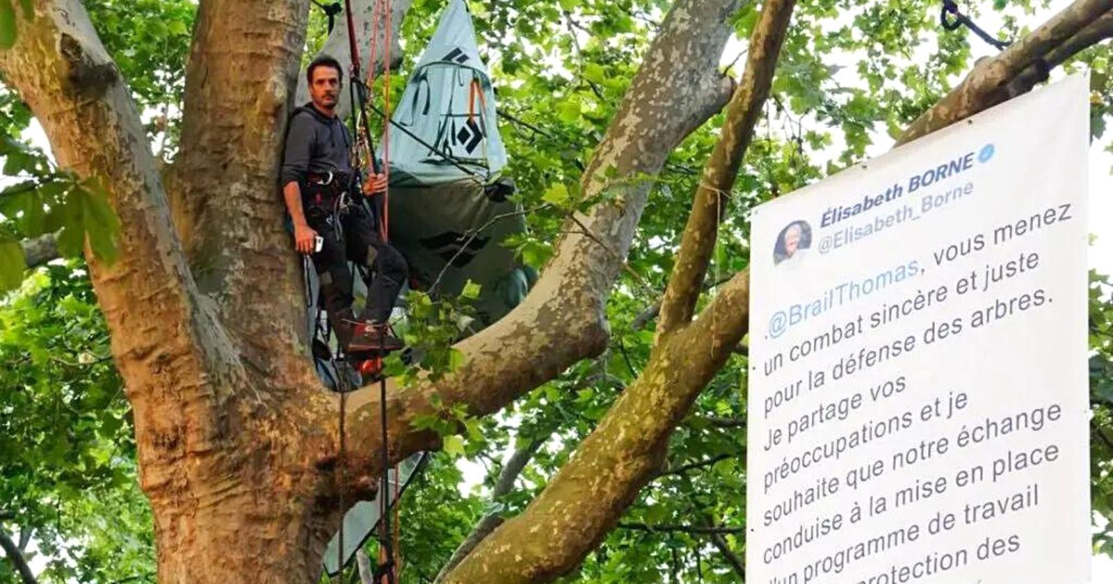 INTERVIEW.  "We won't let go": This defender of nature clings to trees to save them
