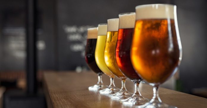 Making beer from recycled waste water… and urine: it's possible

