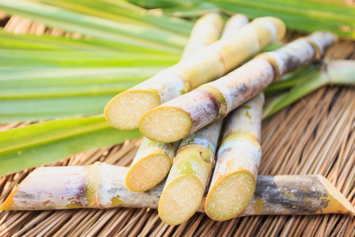 Pineapple, vanilla, sugar cane: the second life of these exotic ingredients

