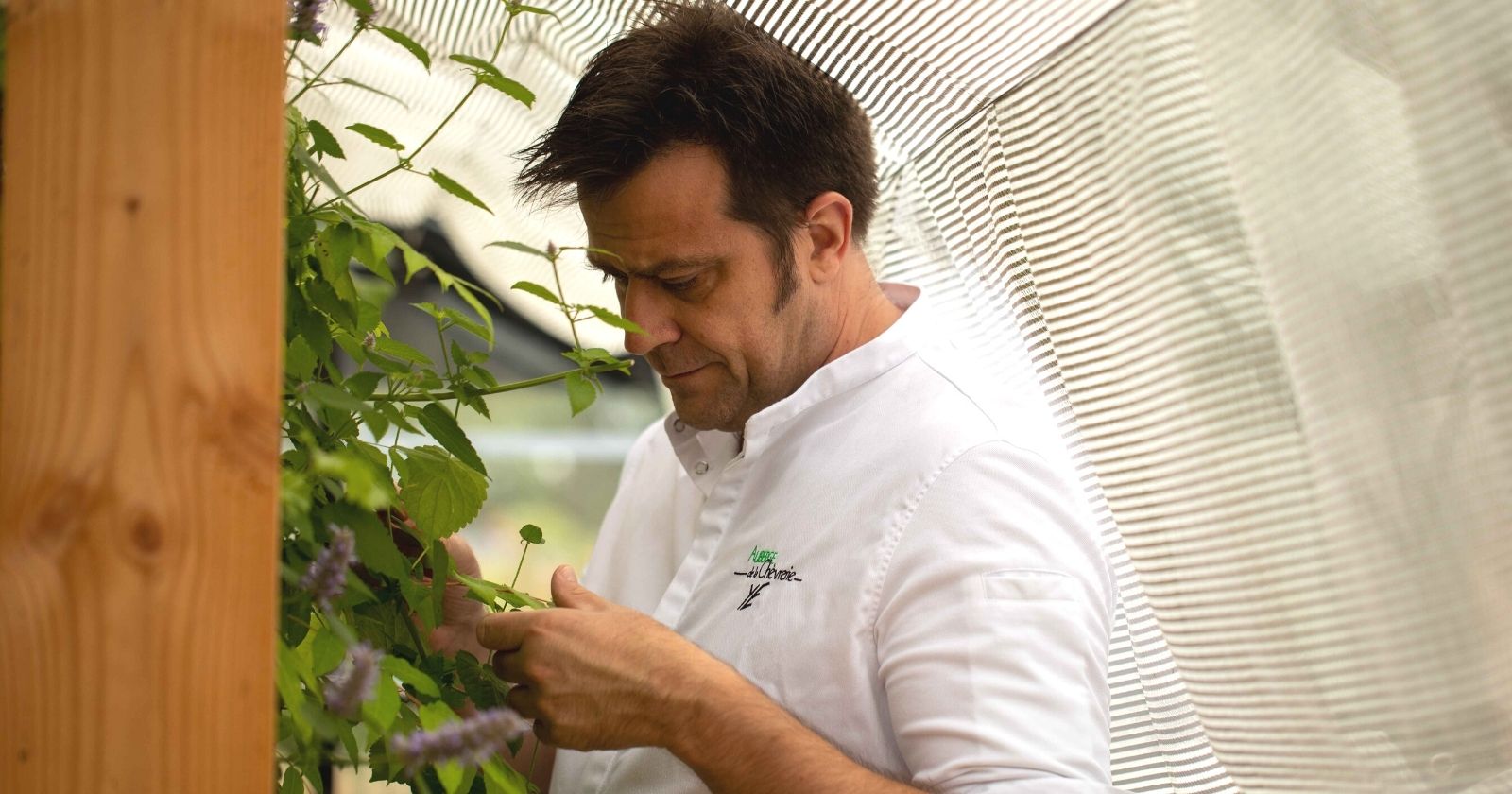 “Respecting the seasonality stimulates creativity”: this chef grows his products in his greenhouse