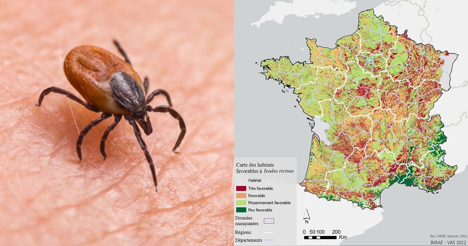 These researchers have created a weather map of ticks in France: a valuable tool