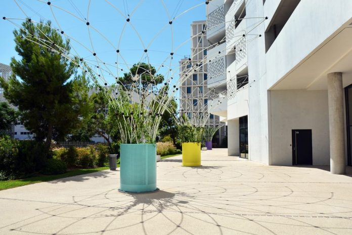 To cool cities, a start-up develops autonomous and connected plant structures


