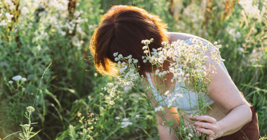 Picking wild plants: the rules to know and the precautions to take ...