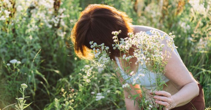 Picking wild plants: the rules to know and the precautions to take

