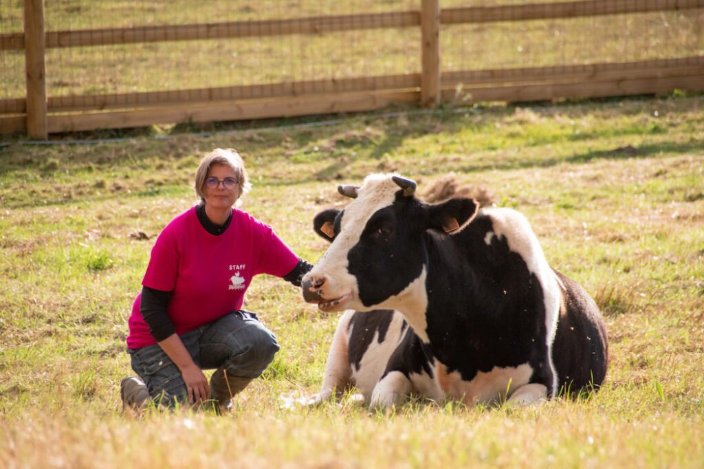 Vegetable bakery Land&Monkeys sponsors a cow rescued from the dairy industry