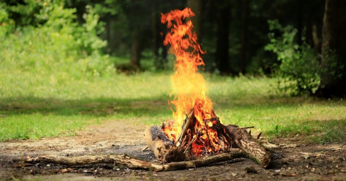 Fires: 6 essential actions to prevent forest fires

