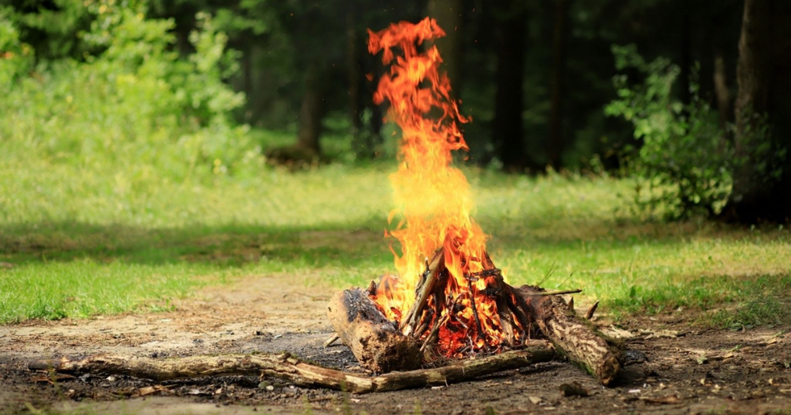 Fires: 6 essential actions to prevent forest fires
