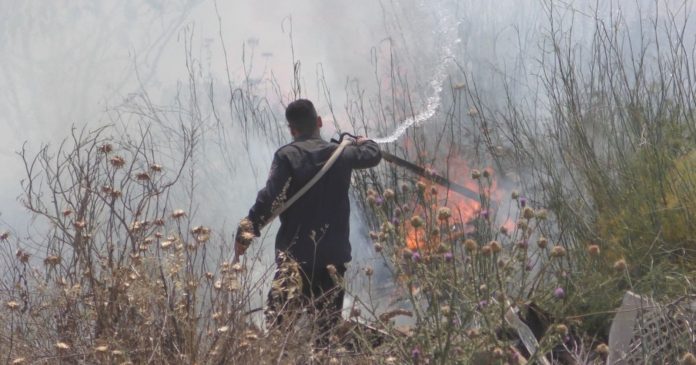 Fires: in the Var, volunteers follow the smallest trace of a starting fire


