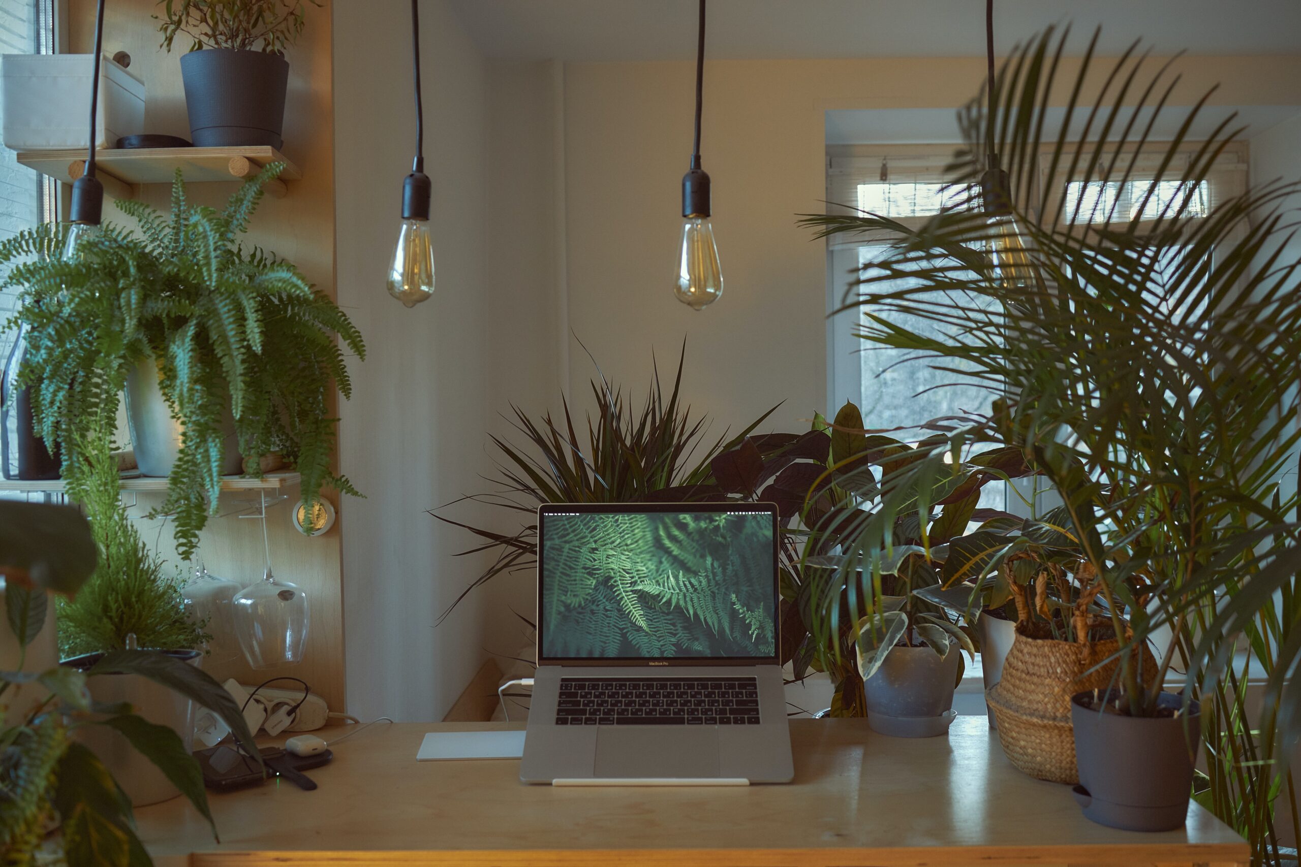 Thanks to biophilic design, plants stimulate well-being at work